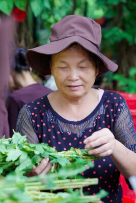 Dưới sự chỉ đạo của Sư phụ trụ trì – TT Thích Đạo Thịnh, Ban Tổ chức cùng Phật tử Đạo Tràng Tịnh Tông Học Hội Việt Nam đang tích cực chuẩn bị